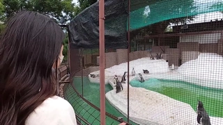 周嘉诚一大早就被妹妹叫醒