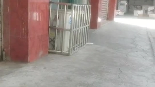 铁牛探花花裙小姐姐