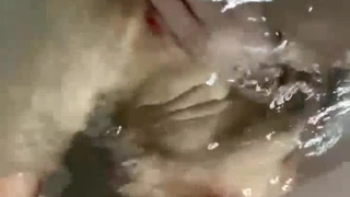 寡妇日记骚人妻